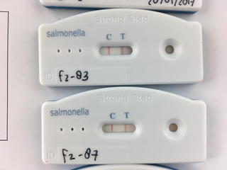 Salmonella Typhi Antigen Test