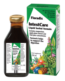 Floradix Intestcare 250ml