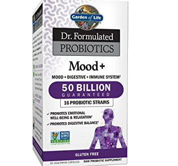Garden Of Life Dr Formulated Probiotics Mood 50Bln 60 Caps